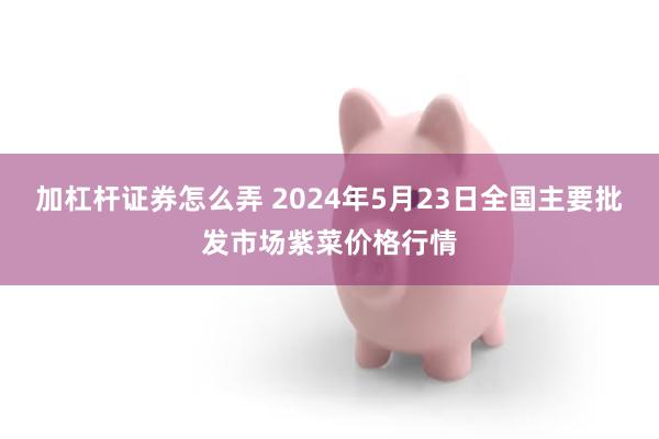 加杠杆证券怎么弄 2024年5月23日全国主要批发市场紫菜价格行情