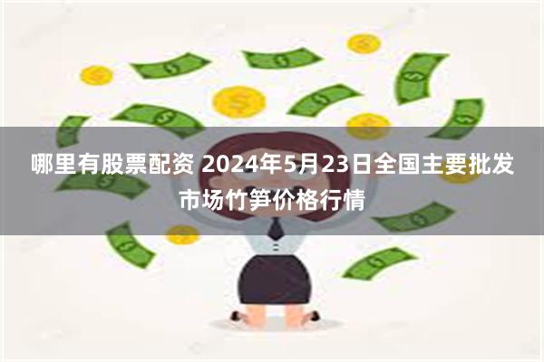 哪里有股票配资 2024年5月23日全国主要批发市场竹笋价格行情