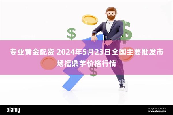 专业黄金配资 2024年5月23日全国主要批发市场福鼎芋价格行情