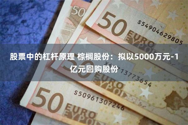 股票中的杠杆原理 棕榈股份：拟以5000万元-1亿元回购股份