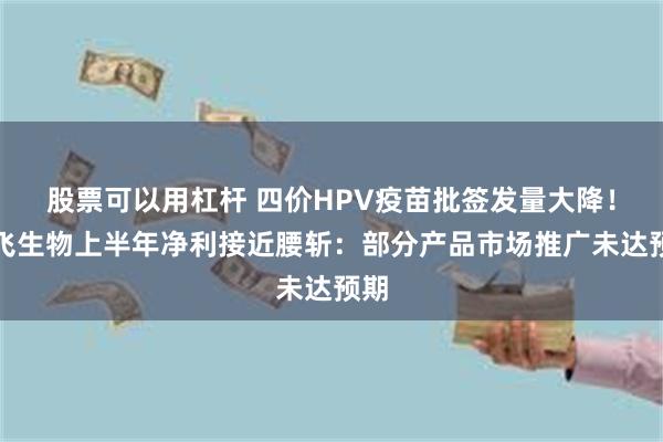 股票可以用杠杆 四价HPV疫苗批签发量大降！智飞生物上半年净利接近腰斩：部分产品市场推广未达预期