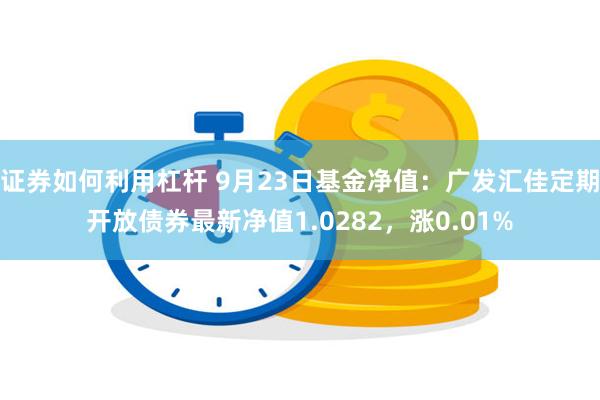 证券如何利用杠杆 9月23日基金净值：广发汇佳定期开放债券最新净值1.0282，涨0.01%