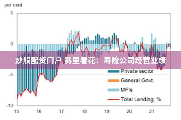 炒股配资门户 雾里看花：寿险公司经营业绩