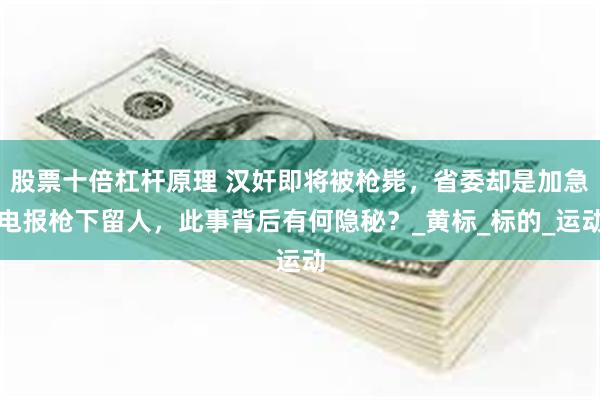 股票十倍杠杆原理 汉奸即将被枪毙，省委却是加急电报枪下留人，此事背后有何隐秘？_黄标_标的_运动